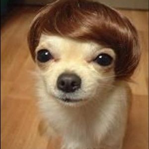 Meet your Posher, Alexis